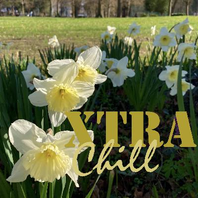 XtraChill 435