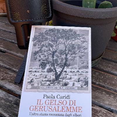 Stagione 12, puntata 4: Il gelso di Gerusalemme. L'altra storia raccontata dagli alberi, di Paola Caridi Stagione 12, puntata 4: Il gelso di Gerusalemme. L'altra storia raccontata dagli alberi, di Paola Caridi