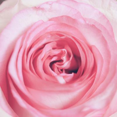 21天豐盛冥想:Day 21 21天豐盛冥想:Day 21