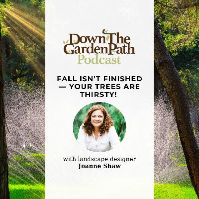 Fall Isn't Finished — Your Trees Are Thirsty! Fall Isn't Finished — Your Trees Are Thirsty!
