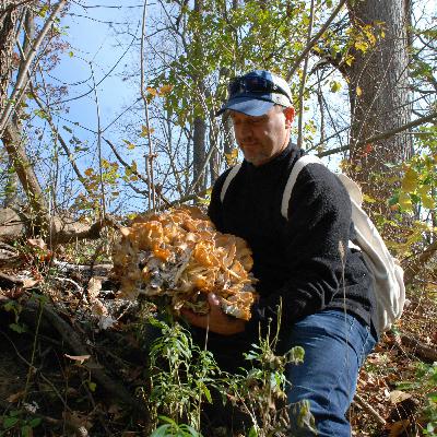 Foraging with Cambridge Chef Steve Allen