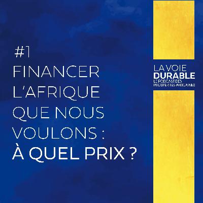Financer l'Afrique que nous voulons : à quel prix? Financer l'Afrique que nous voulons : à quel prix?