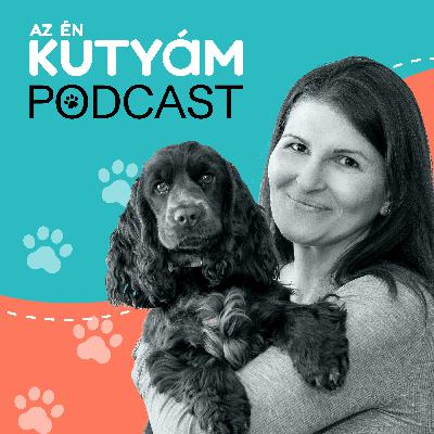 Erről szól az Az én kutyám podcast