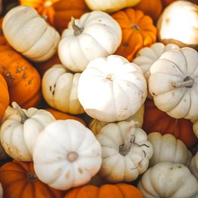 Ep. 446: Thanksgiving Listener Hacks Bonanza! Ep. 446: Thanksgiving Listener Hacks Bonanza!