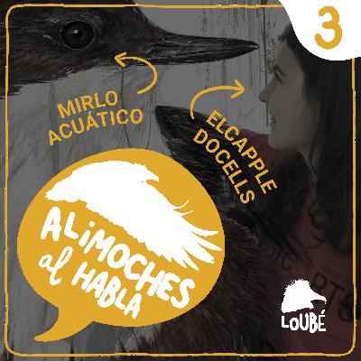 Adaptado, capacitado y culo inquieto, con Maria Mira #03