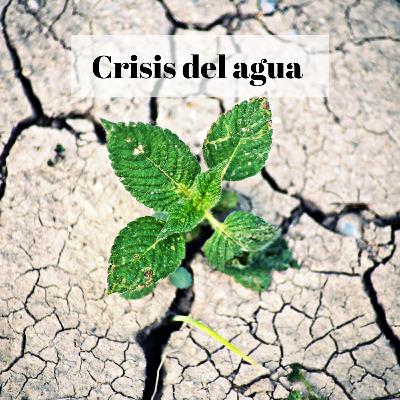 Crisis del agua. El desafío del riego - junto a Felipe de la Hoz Ph. D. Crisis del agua. El desafío del riego - junto a Felipe de la Hoz Ph. D.