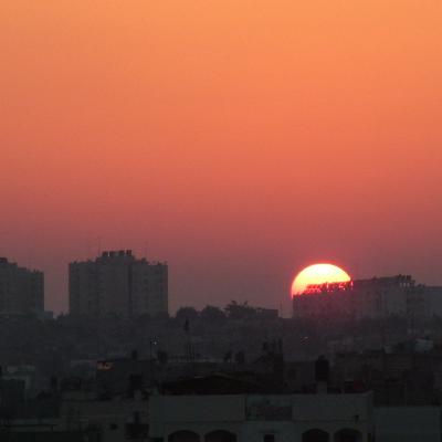 Suara dari Palestina