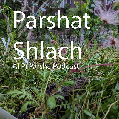 Episode 20: Parshat Shlach Episode 20: Parshat Shlach