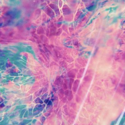 Premiere: Nugi - Mycelius [Hug Records]