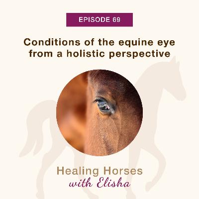 69: Conditions of the Equine Eye from a Holistic Perspective
