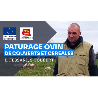 Berger sans terre, pâturage ovin de céréales et de couverts végétaux, D. Fessard et S. Foubert Berger sans terre, pâturage ovin de céréales et de couverts végétaux, D. Fessard et S. Foubert