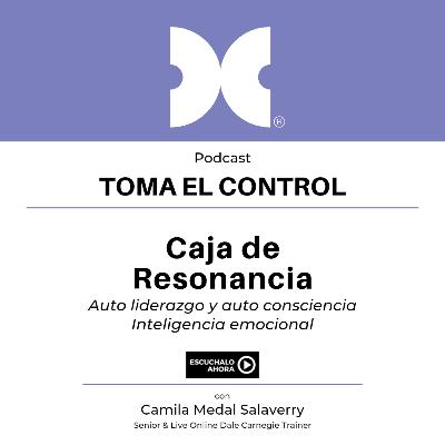 Caja de resonancia