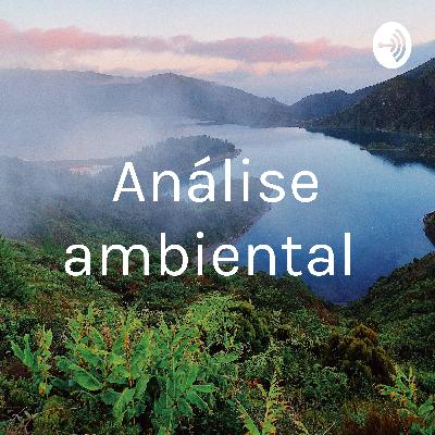 Análise ambiental
