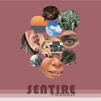 T1. EP4. P2./AROMATERAPIA/ AROMAS QUE NOS AYUDAN A SANAR CON ALEX RONALDS ( SEGUNDA PARTE)