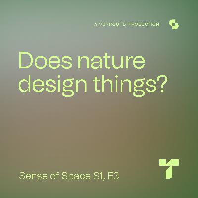 Does nature design things?