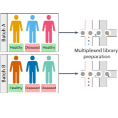 Deep generative modeling of sample-level heterogeneity in single-cell genomics