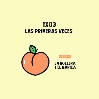 1X03 LAS PRIMERAS VECES