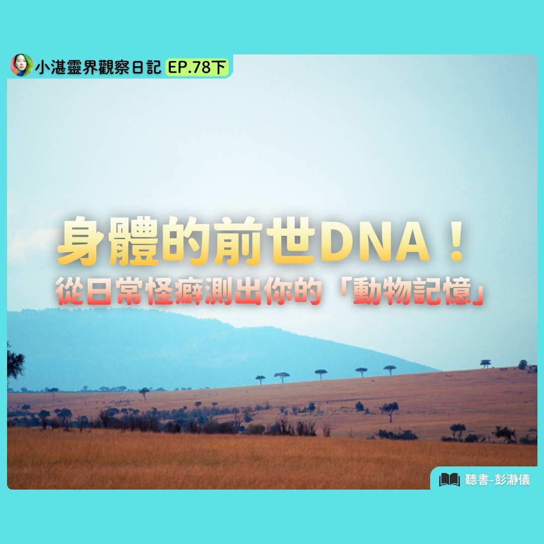 身體的前世DNA 從日常怪癖測出你的「動物記憶」　靈界觀察者小湛 X 主持人彭瀞儀｜小湛靈界觀察日記 EP78下 episode artwork