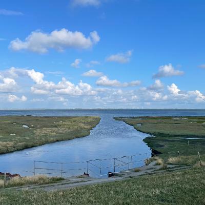 Meditation: Visualisering blade på vandet