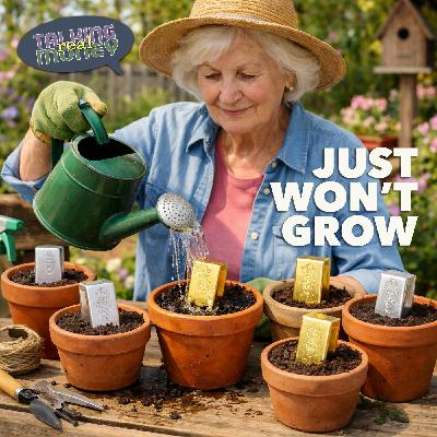 Investments Can Grow Investments Can Grow