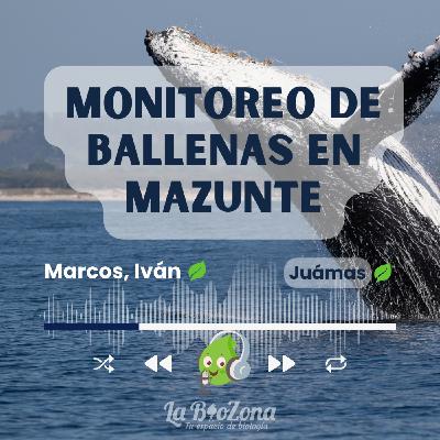 Biozona 65. Monitoreo de ballenas en Mazunte Biozona 65. Monitoreo de ballenas en Mazunte
