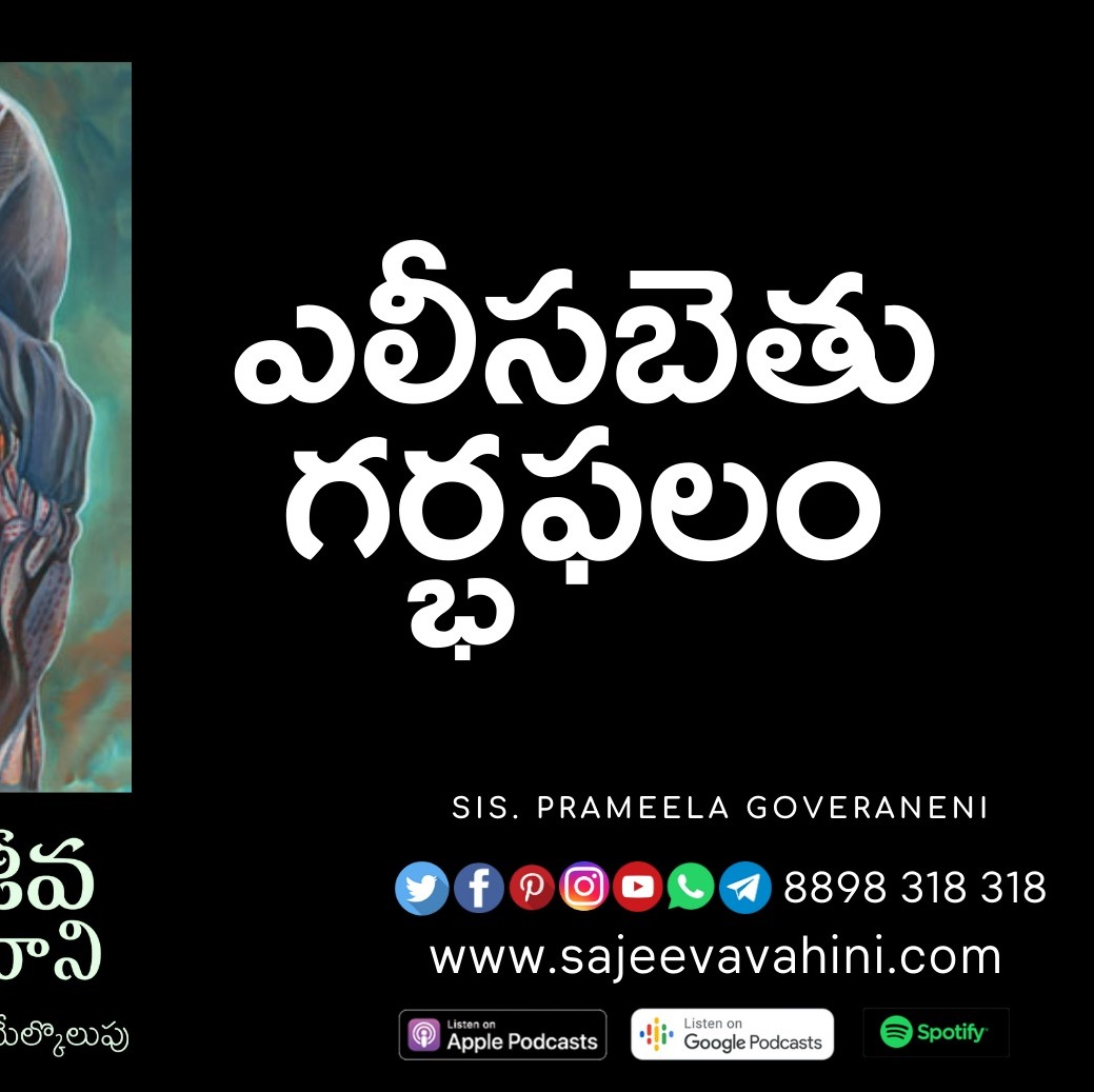 ఎలీసబెతు గర్భఫలం ఎలీసబెతు గర్భఫలం
