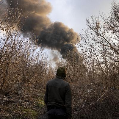 Krieg in der Ukraine - Auch die Natur ist großflächig zerstört Krieg in der Ukraine - Auch die Natur ist großflächig zerstört