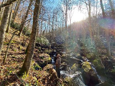 71. The Art of Inner Tracking with Luke McLaughlin of Holistic Survival School 71. The Art of Inner Tracking with Luke McLaughlin of Holistic Survival School