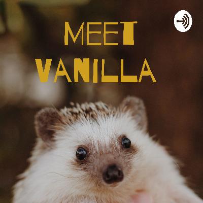 Meet Vanilla  (Trailer)