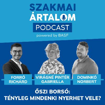 Őszi borsó: Tényleg mindenki nyerhet vele?