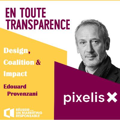 #36 - Pixelis: Rencontre entre design et marketing responsable, la recette d’une révolution créative #36 - Pixelis: Rencontre entre design et marketing responsable, la recette d’une révolution créative