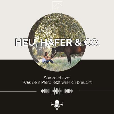 Episode 33 - Sommerhitze: Was dein Pferd jetzt wirklich braucht