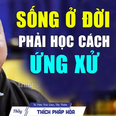 Sống ở đời phải biết cách ứng xử - Thầy Pháp Hòa (pháp hay nên nghe)