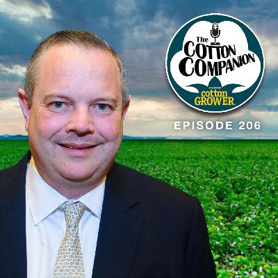 The Buying American Cotton Act Advances on Capitol Hill