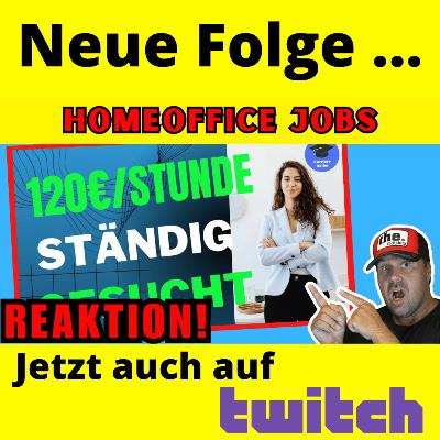 5 Homeoffice Jobs über die NIEMAND spricht (ohne Studium) Michael Kotzur| Reaktion