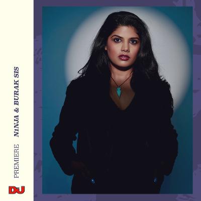 Premiere: N1NJA ‘Alpine Air (BURAK SIS REMIX)’