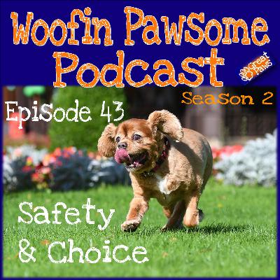 Safety & Choice - Episode 43 Safety & Choice - Episode 43