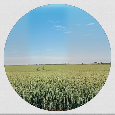 Whitelabrecs Vinyl Mix