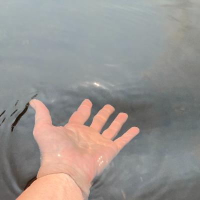 Say Goodbye Say Goodbye