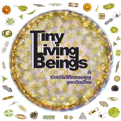 The Diatom Detective - with Kirstie Scott