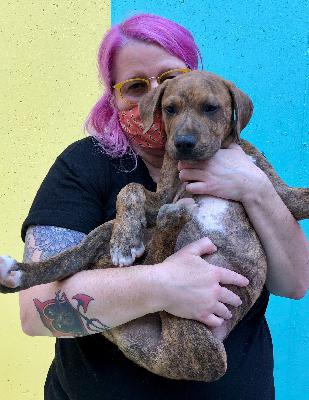 S2/E8 ELLEN MARETT AND FORGOTTEN DOGS RESCUE