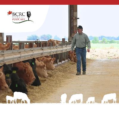Episode 85: Evolution in Cattle Feeding, Management and Demand Episode 85: Evolution in Cattle Feeding, Management and Demand