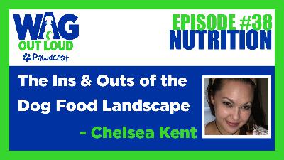 The Ins and Outs of the Dog Food Landscape