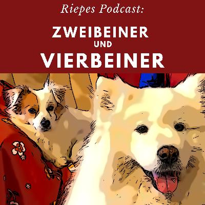 Der glückliche Hund an der Leine