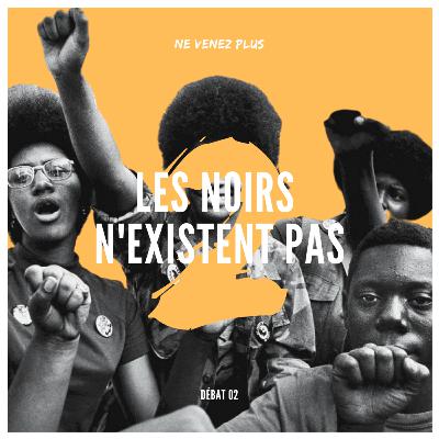 Les Noirs n'existent pas - Partie 2