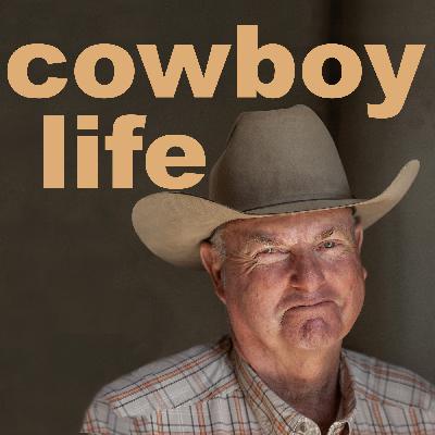 Don Murphy is well-known as an elite cow horse trainer, however his roots reach down into the ranching culture of the West Coast.