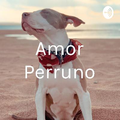 Amor perruno