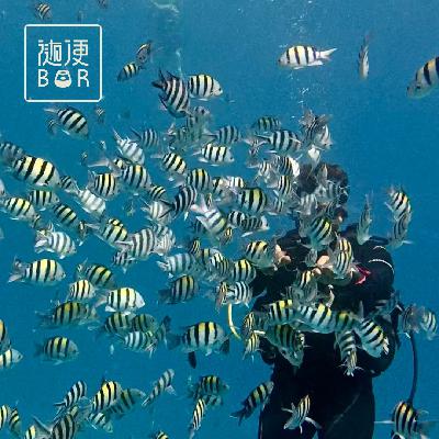 EP83 埃及 6｜红海潜水这件事，比我们想像中精彩多了