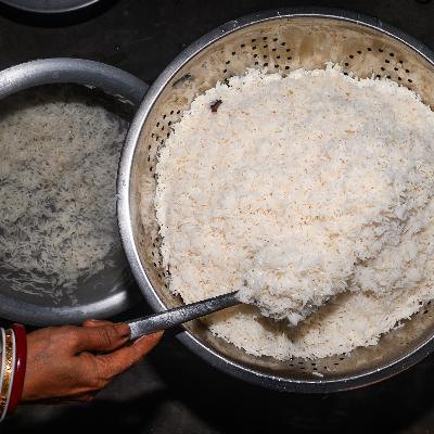 Reportaje | Un grano de arroz da para mucho Reportaje | Un grano de arroz da para mucho
