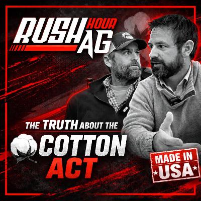Corn vs. Cotton: The Farm Policy Fight You Didn’t Know Was Coming Corn vs. Cotton: The Farm Policy Fight You Didn’t Know Was Coming
